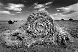 Bale of Hay Undone by Jerry Gay