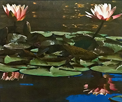 Water Lilies #2 by George Tuton